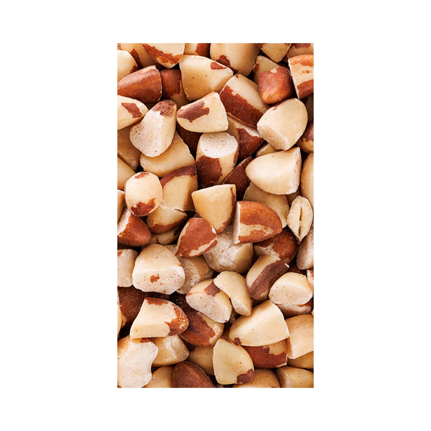Brazil Nuts (Dark Chocolate)